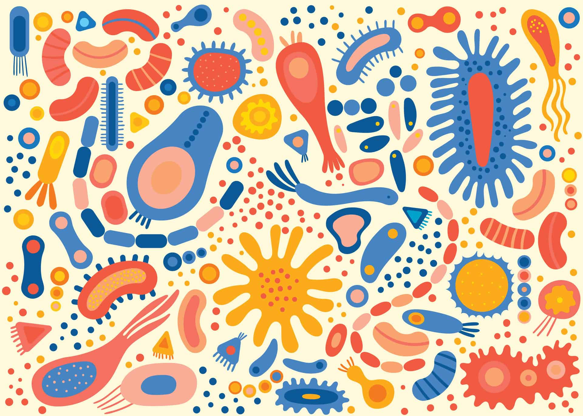 Comment l'alimentation influence notre cerveau ?